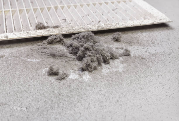Best Duct Cleaning Specialists  in Hamilton College, NY